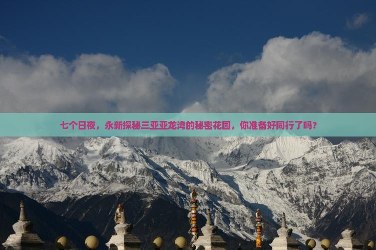 永新前往三亚亚龙湾七日游