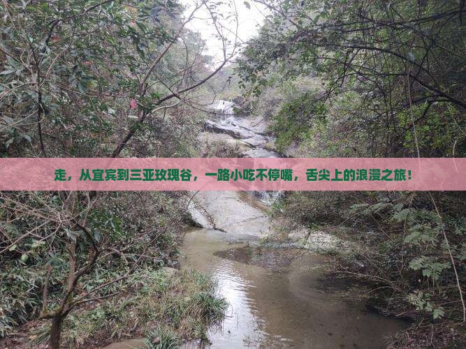 宜宾前往三亚亚龙湾国际玫瑰谷旅游小吃 宜宾前往三亚亚龙湾国际玫瑰谷旅游小吃