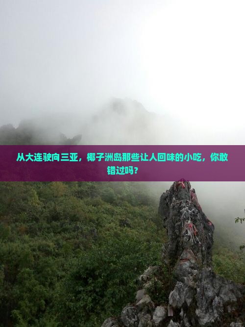 大连出发三亚椰子洲岛旅游小吃
