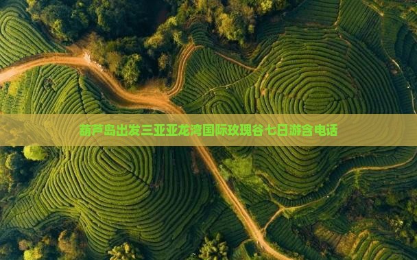 葫芦岛出发三亚亚龙湾国际玫瑰谷七日游