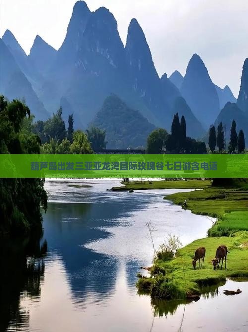 葫芦岛出发三亚亚龙湾国际玫瑰谷七日游
