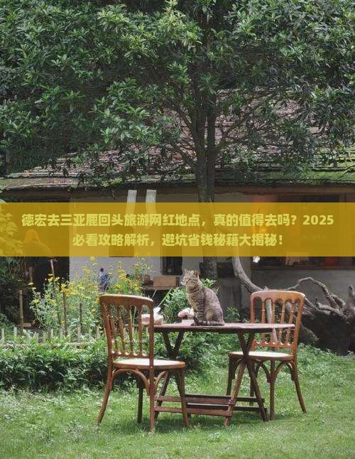 德宏去三亚鹿回头旅游网红地点