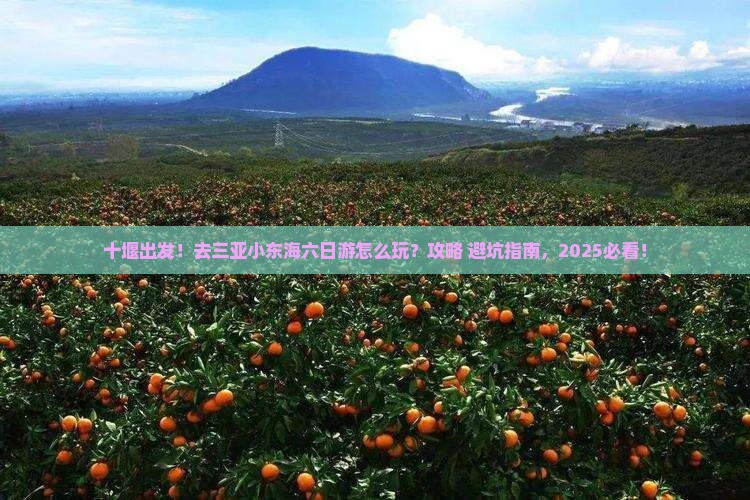十堰去三亚小东海六日游