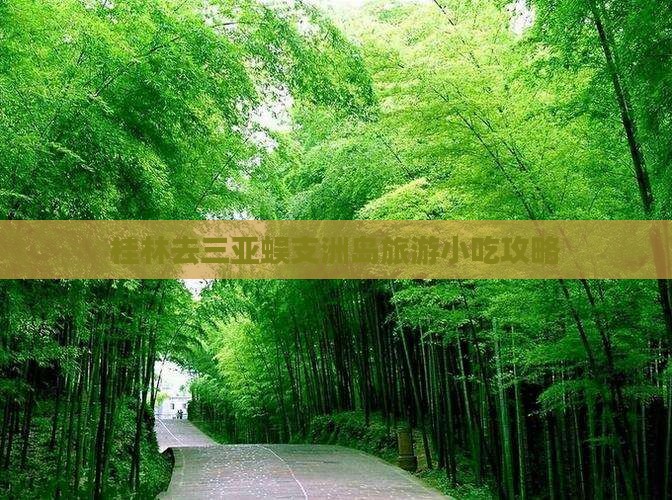 桂林去三亚蜈支洲岛旅游小吃