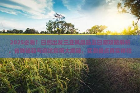 日照出发三亚凤凰岛五日游