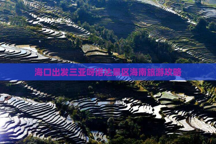 海口出发三亚呀诺达景区个人游