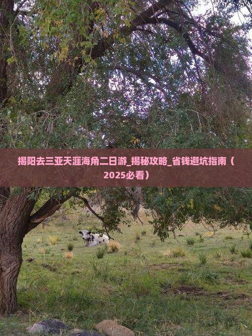 揭阳去三亚天涯海角二日游