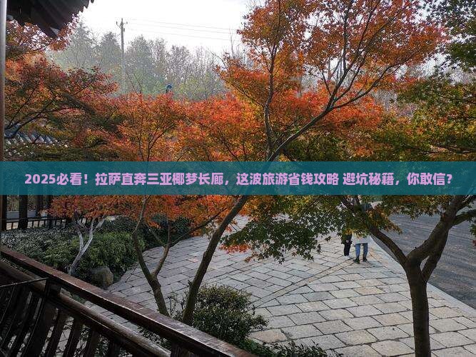 拉萨前往三亚椰梦长廊旅游