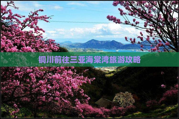 铜川前往三亚海棠湾攻略