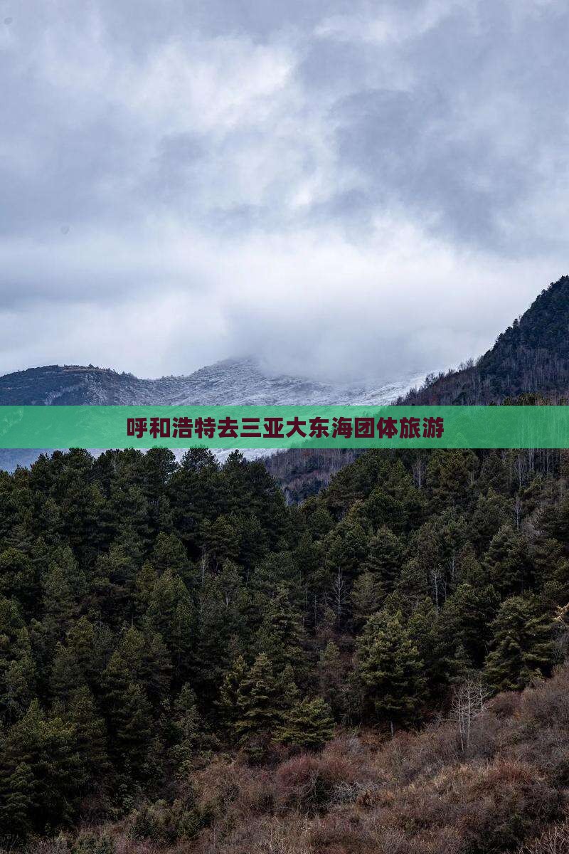 呼和浩特去三亚大东海团体旅游