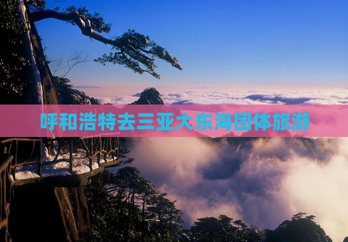 呼和浩特去三亚大东海团体旅游