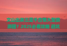 文山出发三亚千古情大型旅游团
