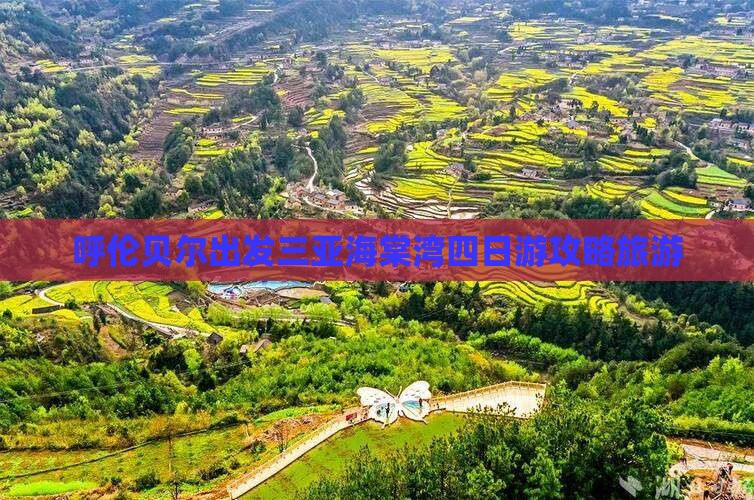 呼伦贝尔出发三亚海棠湾四日游