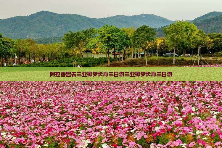 阿拉善盟去三亚椰梦长廊三日游