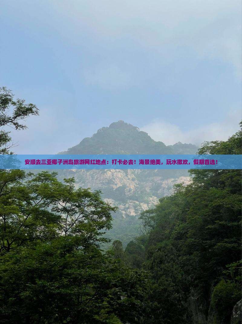 安顺去三亚椰子洲岛旅游网红地点