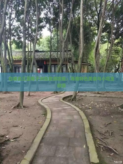 白城去三亚椰子洲岛旅游小吃