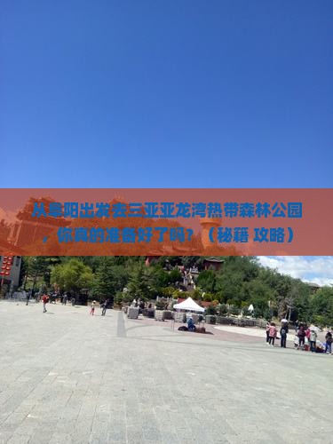 阜阳出发三亚亚龙湾热带森林公园个人游