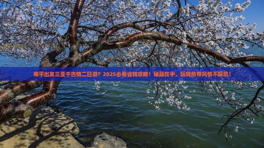 南平出发三亚千古情二日游