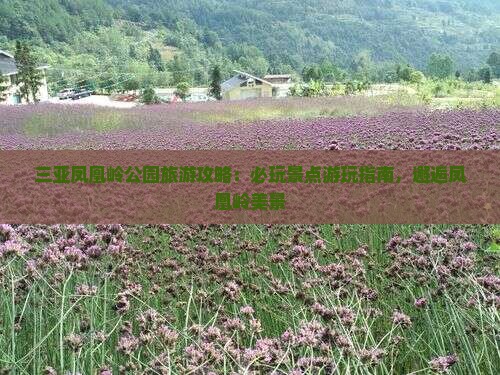 吴忠前往三亚凤凰岭公园必玩地
