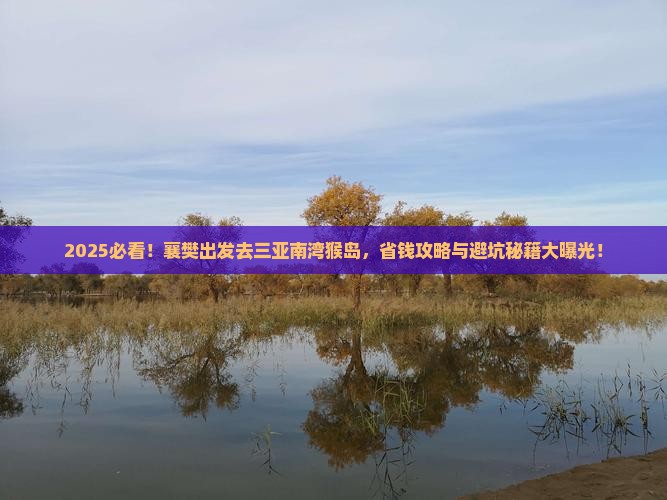 襄樊前往三亚南湾猴岛团体旅游
