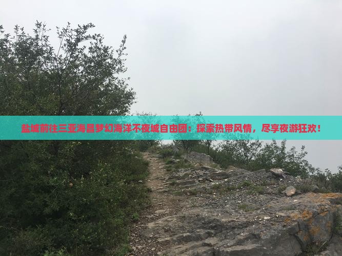 盐城前往三亚海昌梦幻海洋不夜城自由团