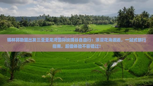 锡林郭勒盟出发三亚亚龙湾国际玫瑰谷自由行