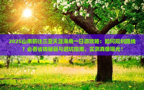 山南前往三亚天涯海角一日游