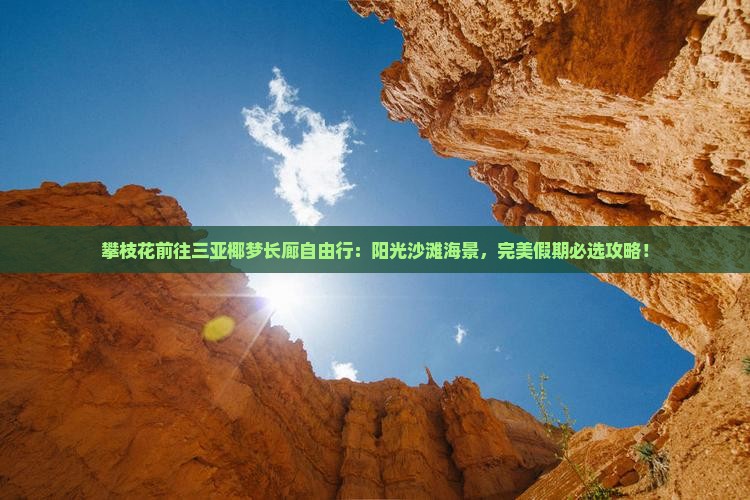 攀枝花前往三亚椰梦长廊自由行