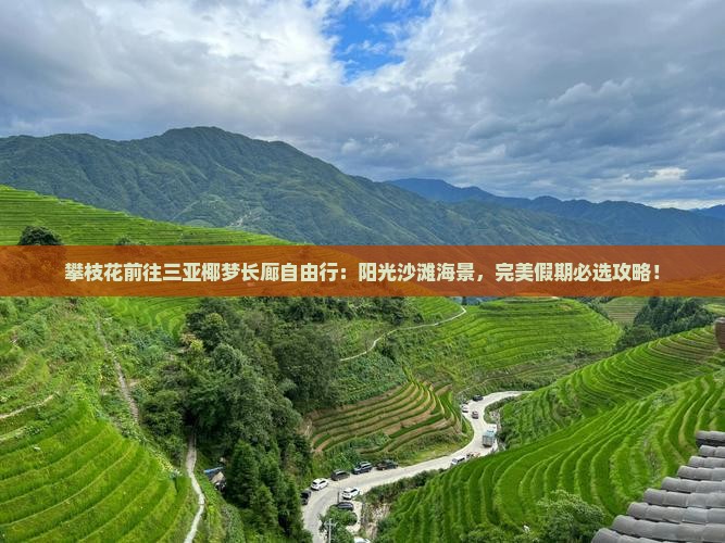 攀枝花前往三亚椰梦长廊自由行