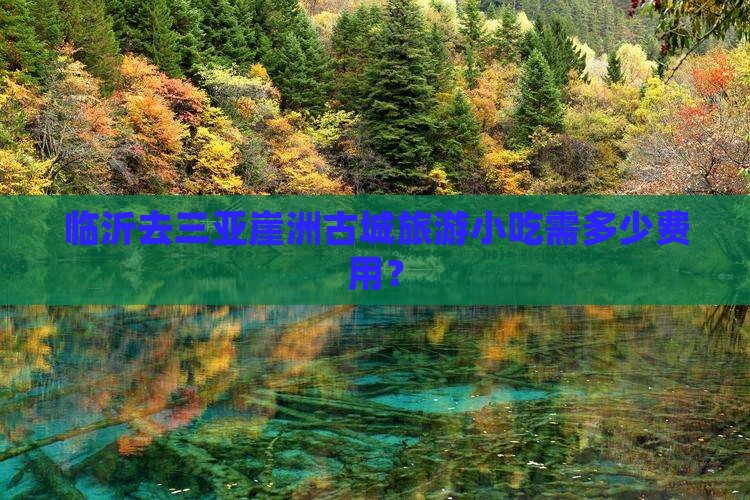 临沂去三亚崖洲古城旅游小吃