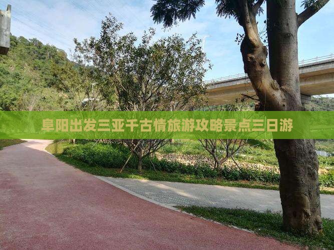 阜阳出发三亚千古情三日游