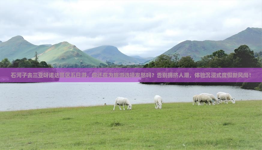 石河子去三亚呀诺达景区五日游