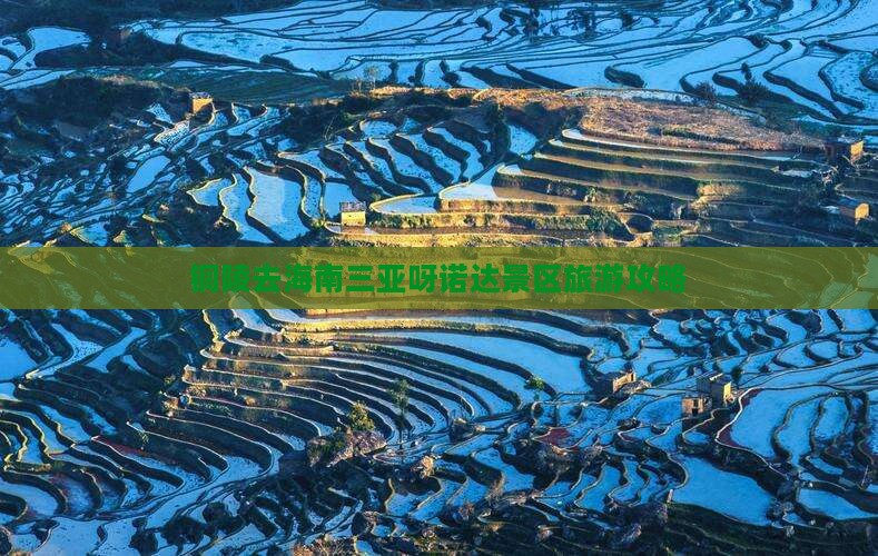铜陵去三亚呀诺达景区旅游