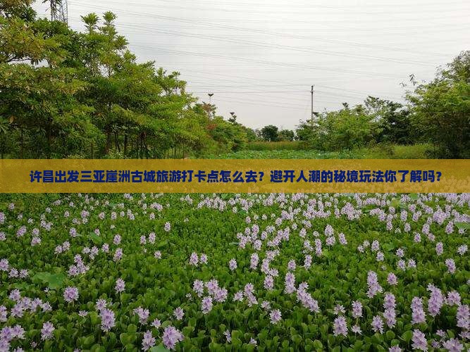 许昌出发三亚崖洲古城旅游打卡点