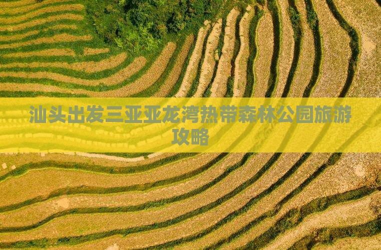 汕头出发三亚亚龙湾热带森林公园攻略