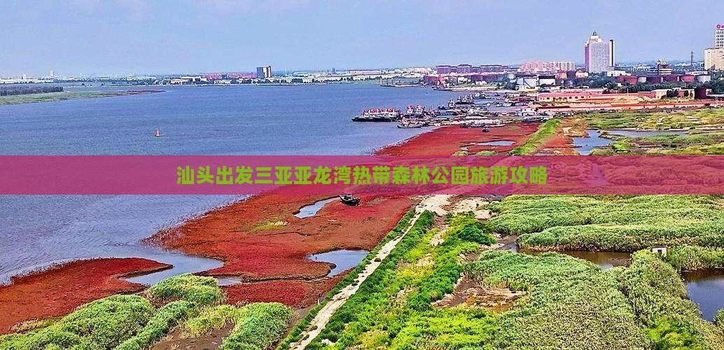 汕头出发三亚亚龙湾热带森林公园攻略
