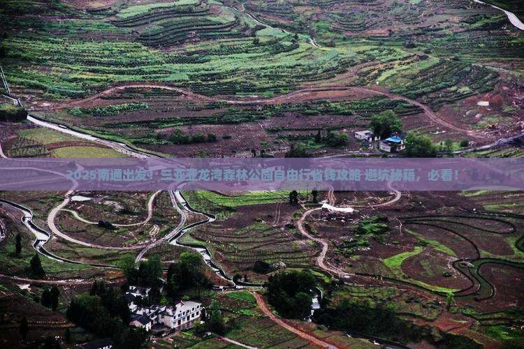 南通去三亚亚龙湾热带森林公园自由行