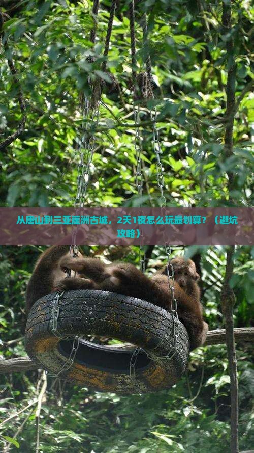 唐山前往三亚崖洲古城自由团