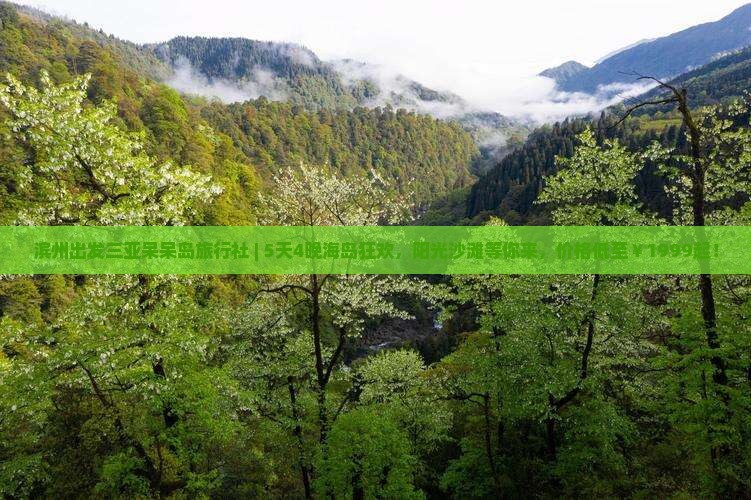 滨州出发三亚呆呆岛旅行社