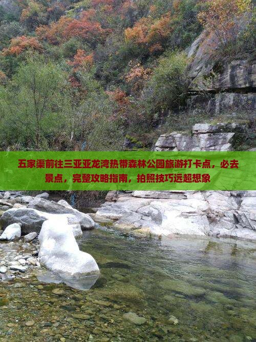 五家渠前往三亚亚龙湾热带森林公园旅游打卡点