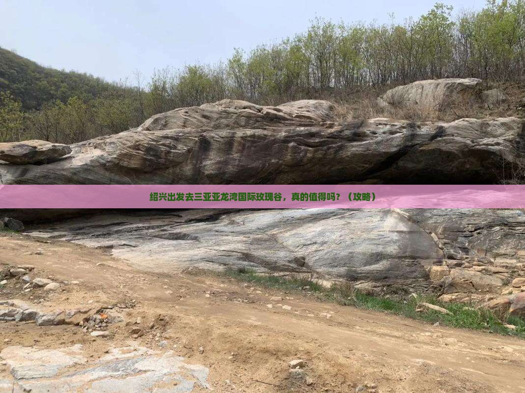绍兴前往三亚亚龙湾国际玫瑰谷个人游