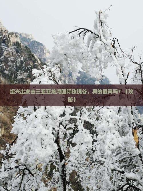 绍兴前往三亚亚龙湾国际玫瑰谷个人游