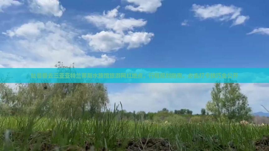 吐鲁番去三亚亚特兰蒂斯水族馆旅游网红地点