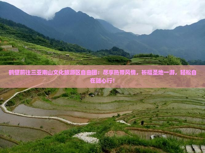 鹤壁前往三亚南山文化旅游区自由团
