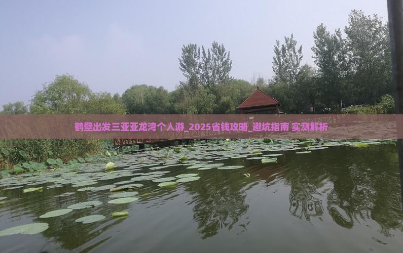 鹤壁出发三亚亚龙湾个人游