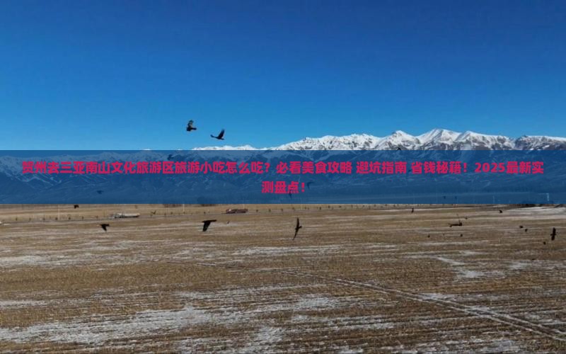 贺州去三亚南山文化旅游区旅游小吃