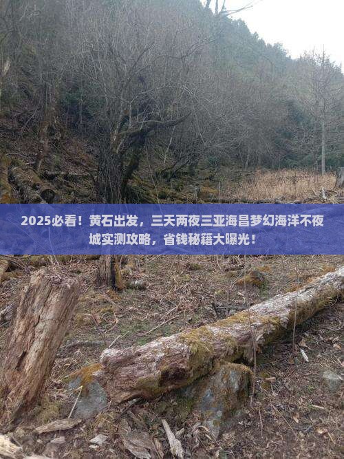 黄石去三亚海昌梦幻海洋不夜城二日游