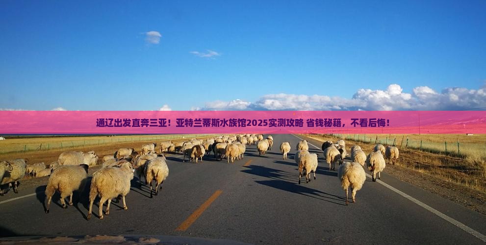 通辽出发三亚亚特兰蒂斯水族馆必玩地