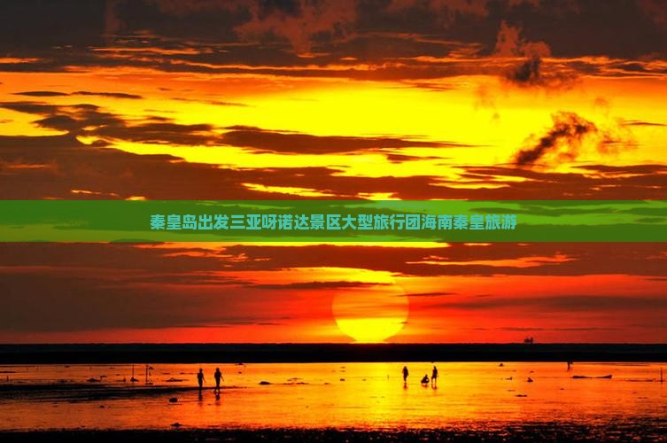 秦皇岛出发三亚呀诺达景区大型旅游团