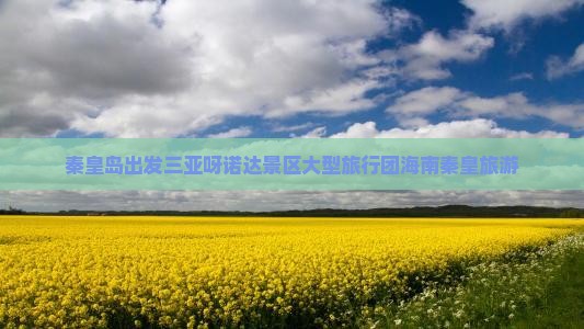秦皇岛出发三亚呀诺达景区大型旅游团